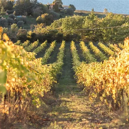 Lantställe Poggio San Giacomo *