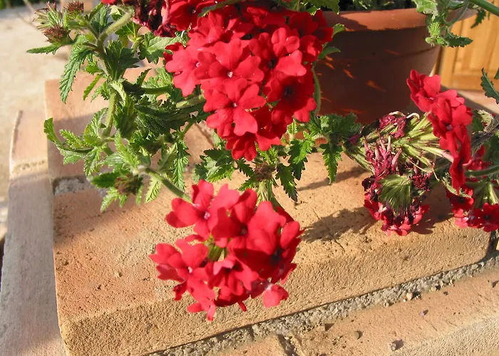 Casa de Campo Poggio San Giacomo Baschi