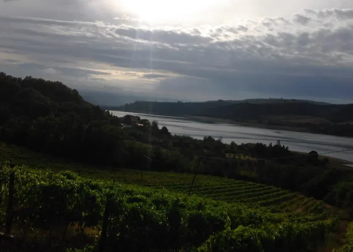 Poggio San Giacomo 柏芝